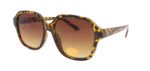 VTG4063 202606-4